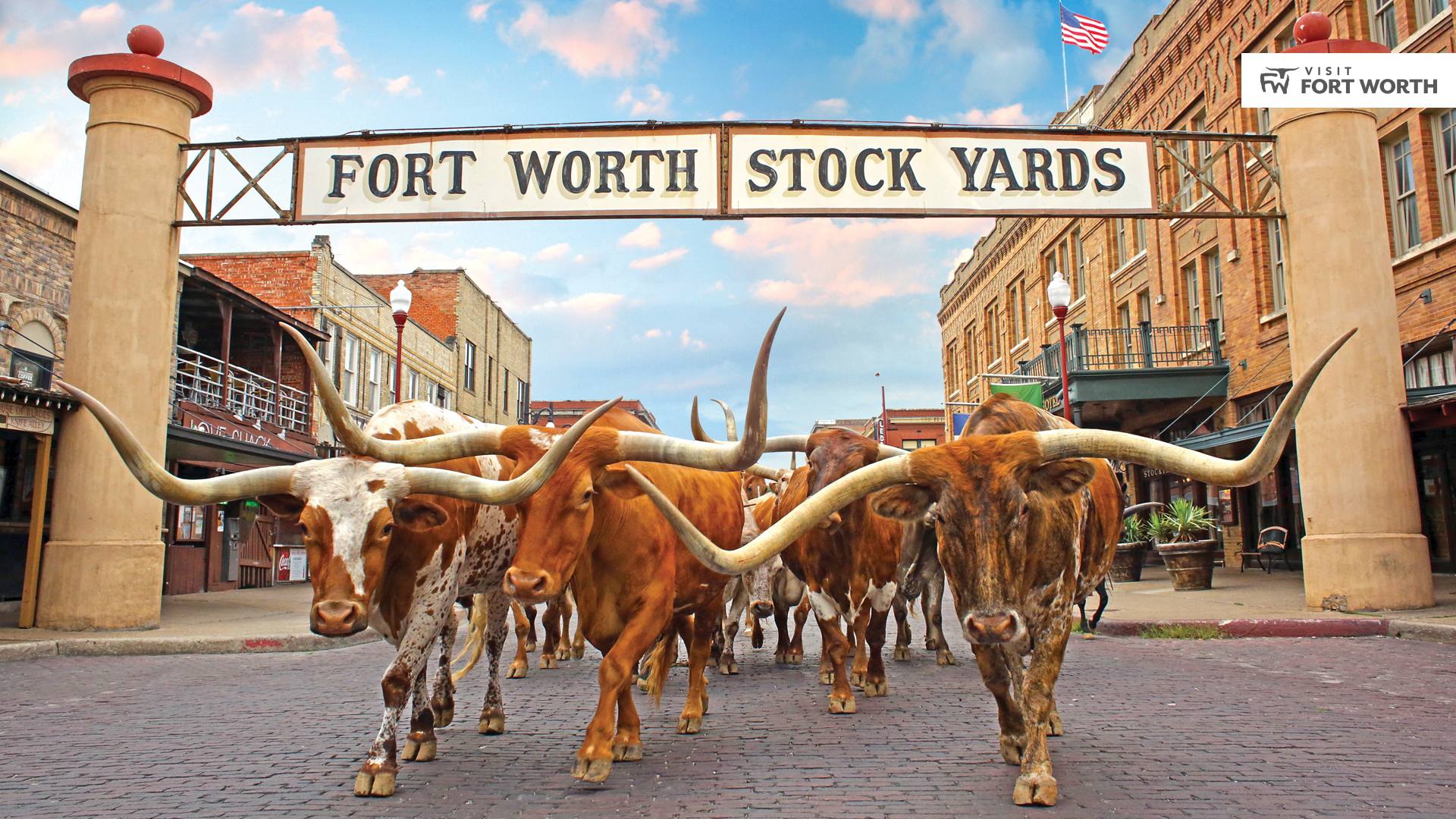 ftworth stockyards